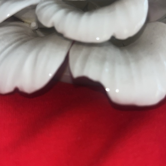 Tozai - Picture 5 of 9